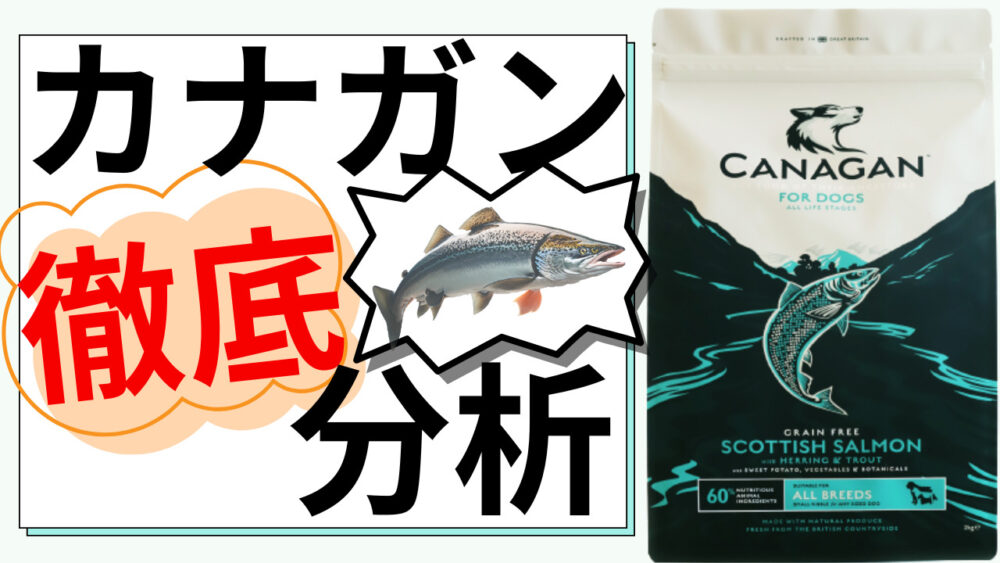 カナガン ドックフード 2kg×3袋 カナガン ドックフード 2kg 2袋｜Yahoo 