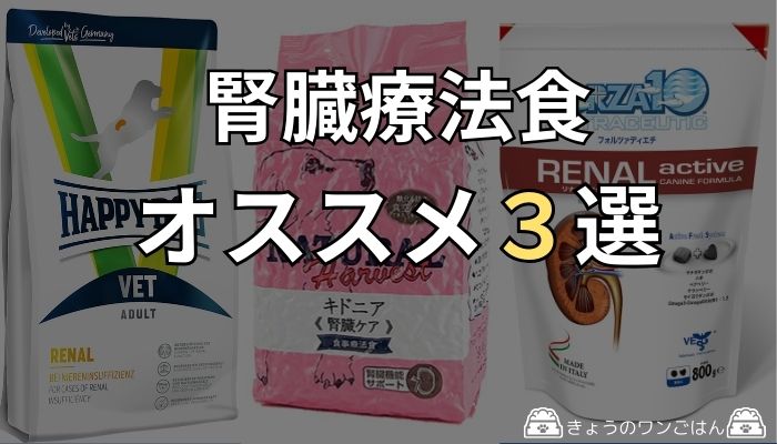 腎臓療法食おすすめ