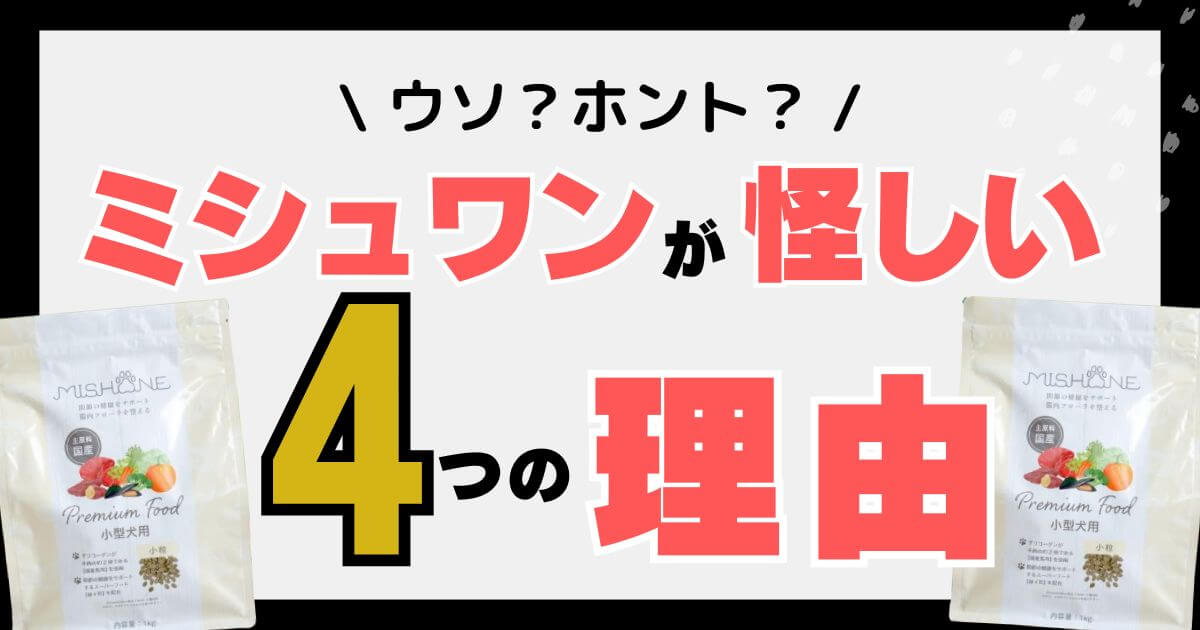 ミシュワン怪しい