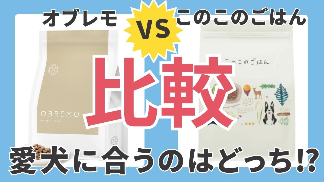 オブレモこのこのごはん