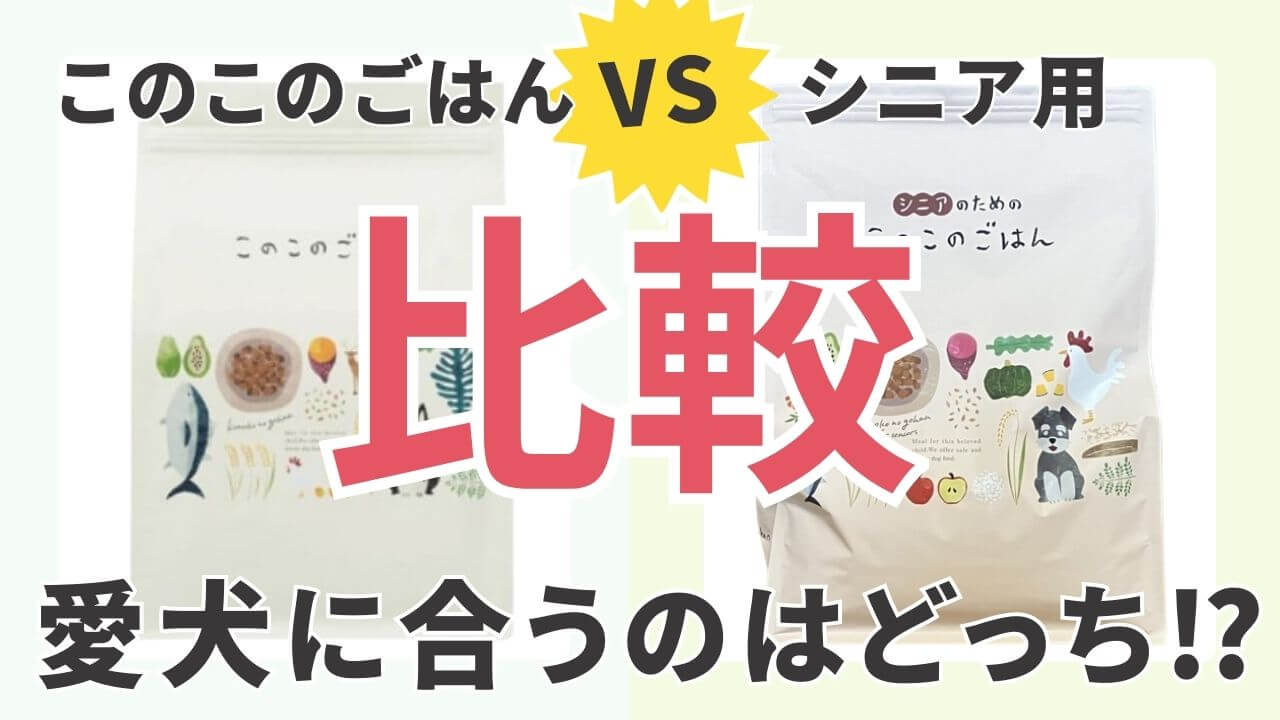 このこのごはんシニア違い