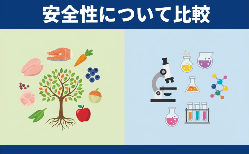 安全性について比較